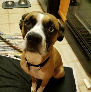 Meet your Posher, Julie